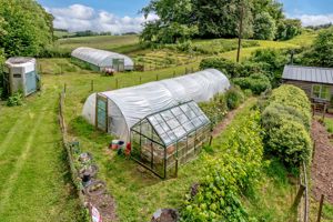 Polytunnels- click for photo gallery